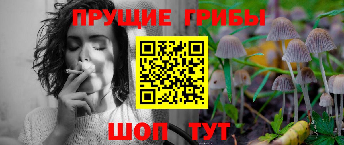 Галлюциногенные грибы Psilocybine cubensis Рязань