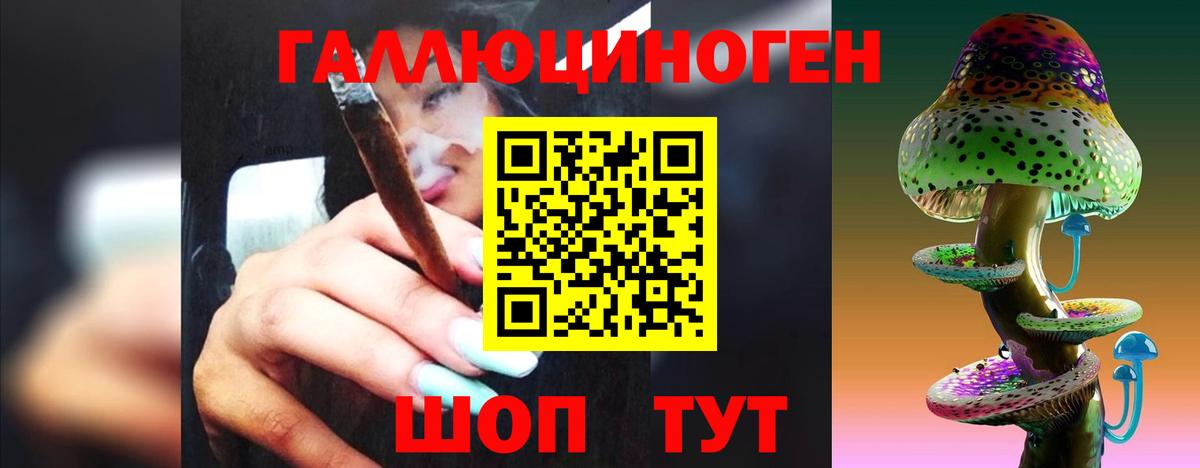 Галлюциногенные грибы Psilocybine cubensis  Вход с VPN  Рязань  Галлюциногенные грибы MAGIC MUSHROOMS 